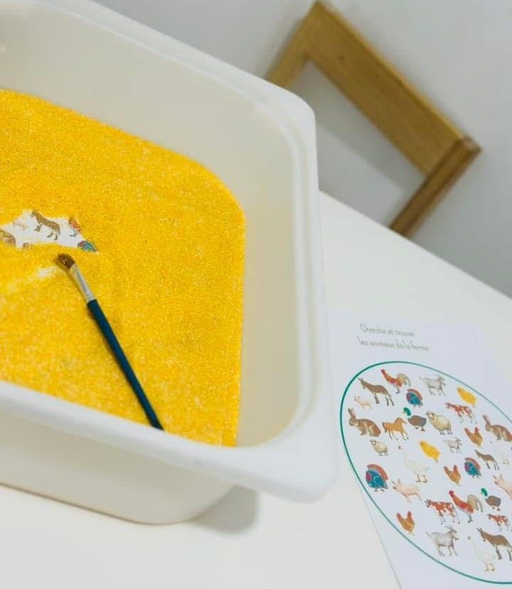 Asociația Psiho Special — rezultate reale cu Karla Ana Maria Grigore și Marius Cătălin Grigore 9 Asociația Psiho Special — rezultate reale cu Karla Ana Maria Grigore și Marius Cătălin Grigore